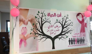 حملات المناصرة 