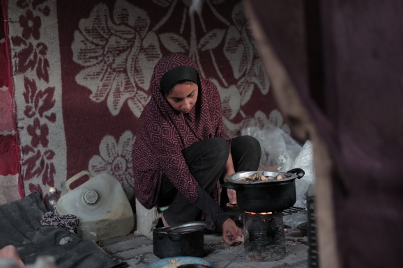 [Duplicated] جذور في الصفوف الامامية